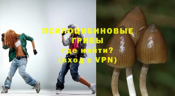 гидра Алексин