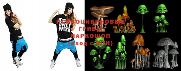 гидра Алексин