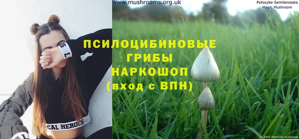 гидра Алексин