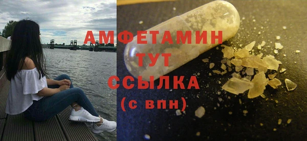 гидра Алексин