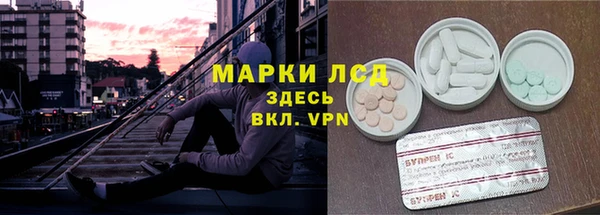 гидра Алексин