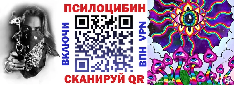 Псилоцибиновые грибы Cubensis  Алексеевка 